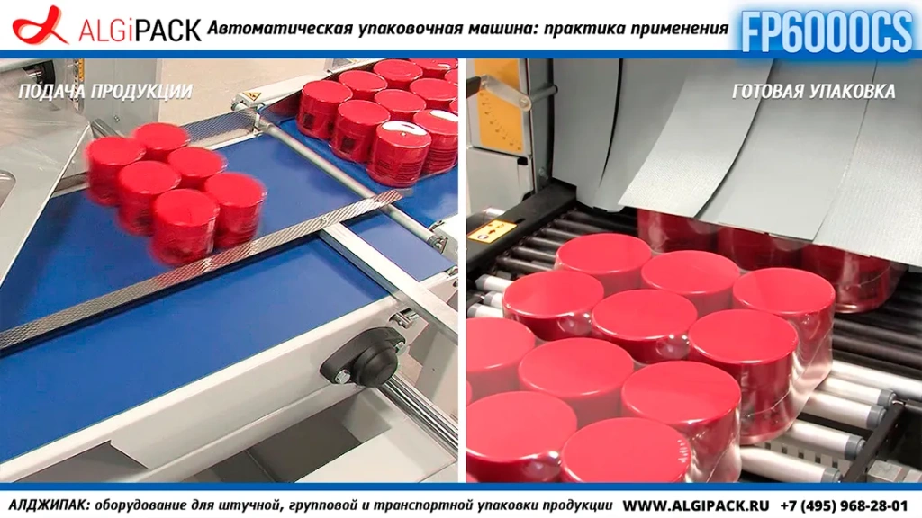 Algipack SMIPACK FP6000 article 017.webp