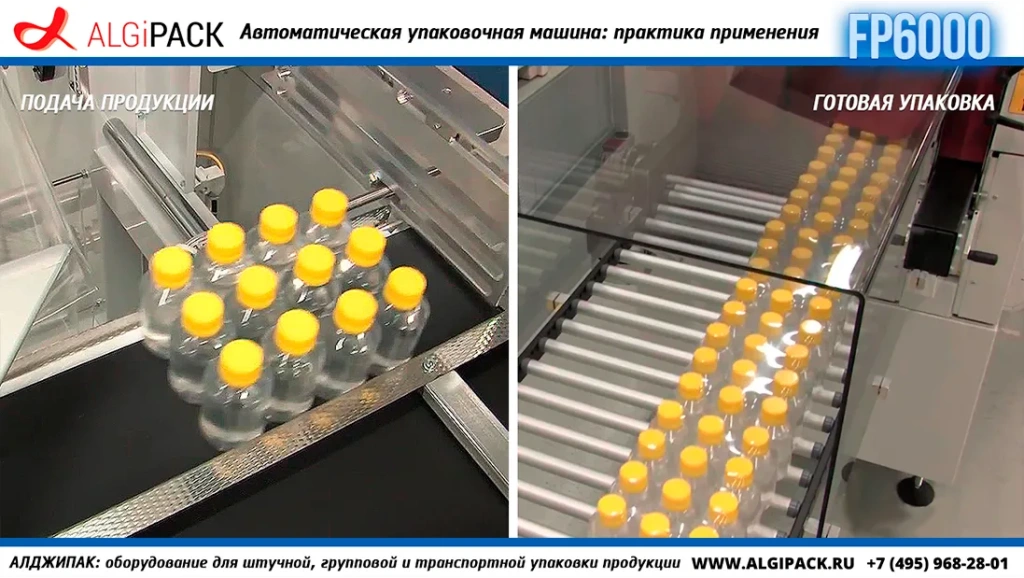 Algipack SMIPACK FP6000 article 018.webp