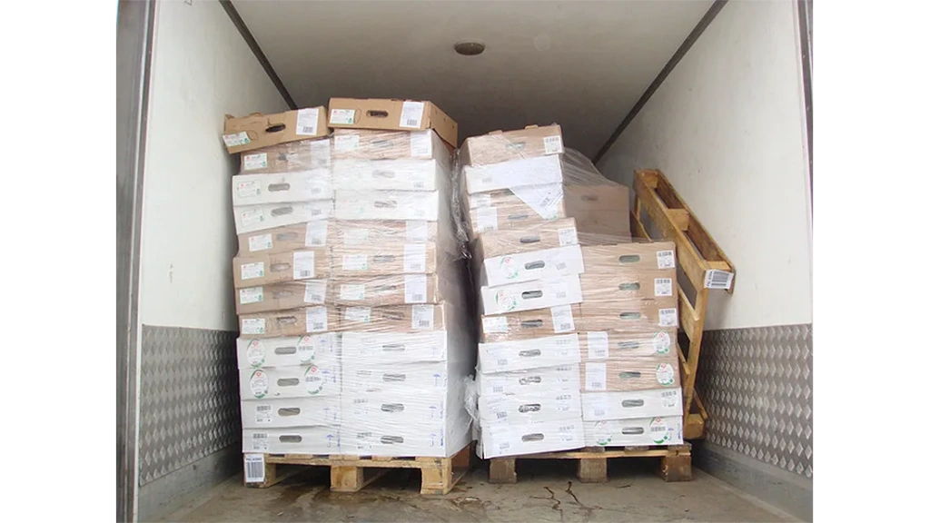 Algipack PKG 3 009.webp