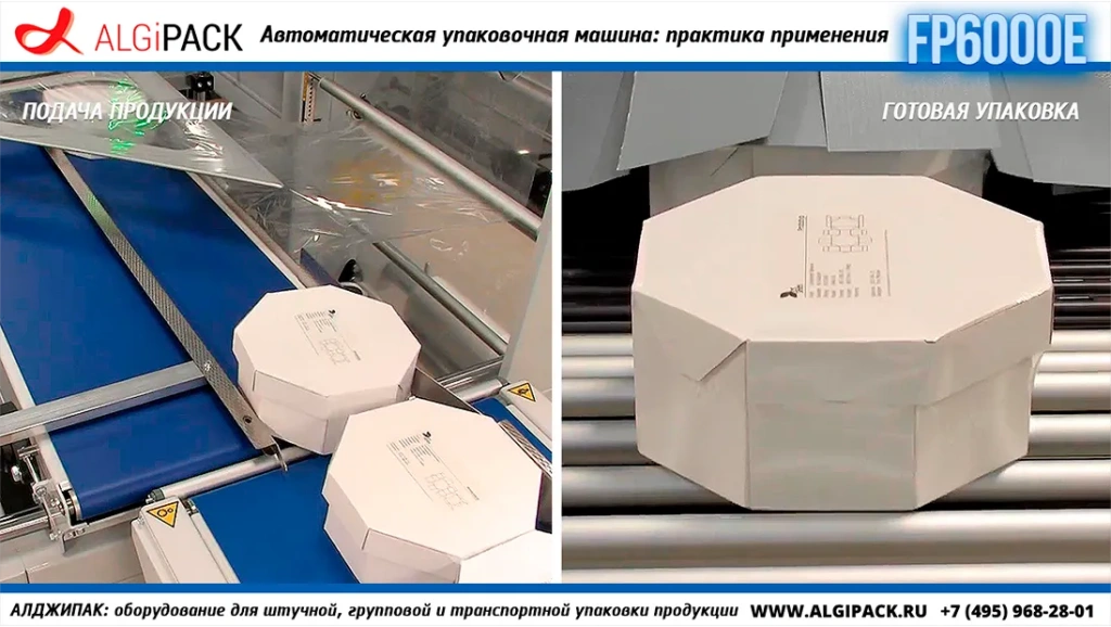 Algipack SMIPACK FP6000 article 002.webp