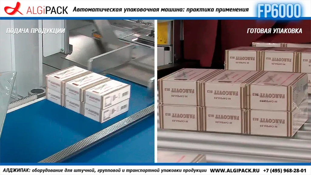 Algipack SMIPACK FP6000 article 016.webp