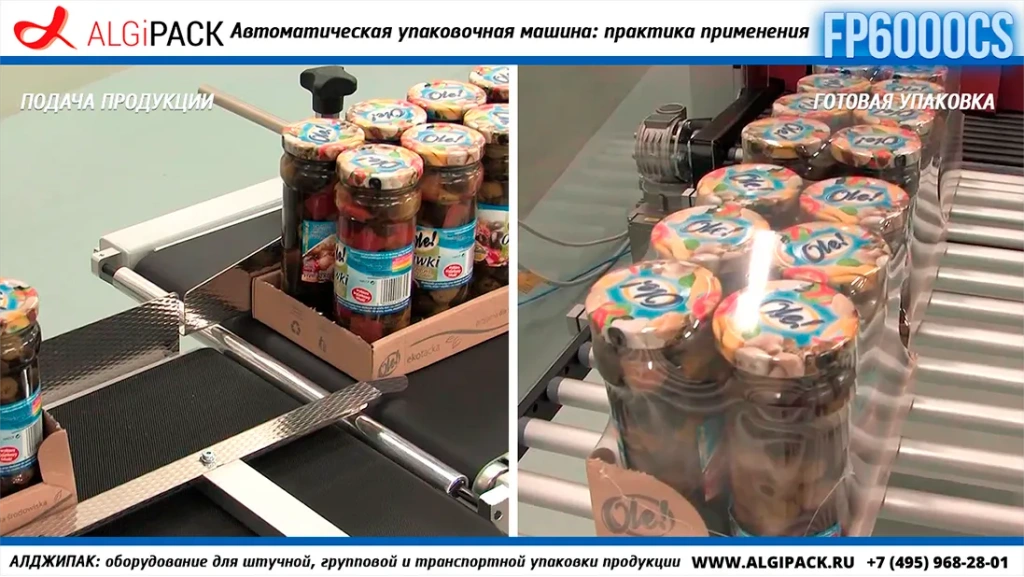 Algipack SMIPACK FP6000 article 007.webp
