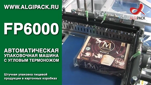 Штучная упаковка пищевой продукции в картонных коробках FP6000 автомат