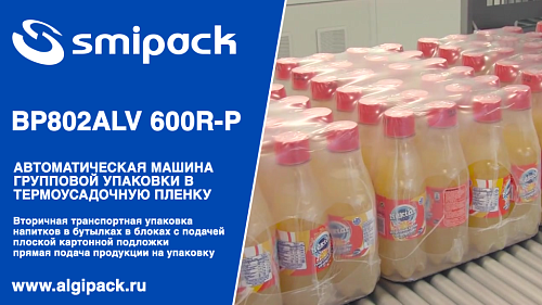 Алджипак BP802ALV 600R-P автомат термоупаковочный групповая упаковка напитков в бутылках на подложке